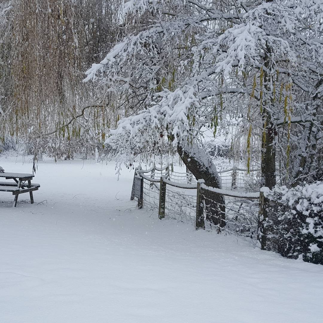 The White Horse Burnham Green